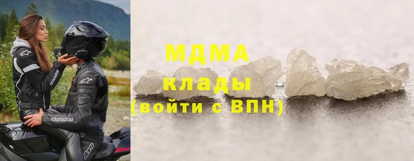 прущие грибы Алзамай
