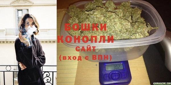 прущие грибы Алзамай