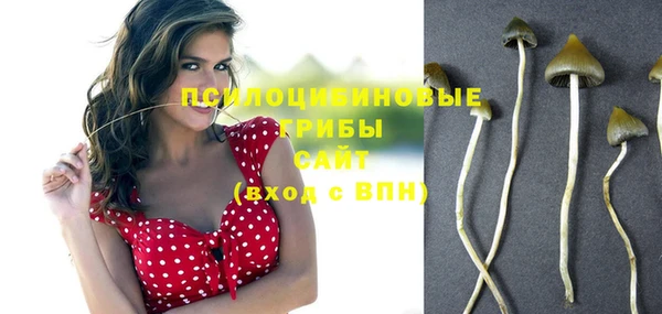 прущие грибы Алзамай