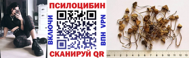 что такое   Невьянск  Псилоцибиновые грибы Psilocybine cubensis 